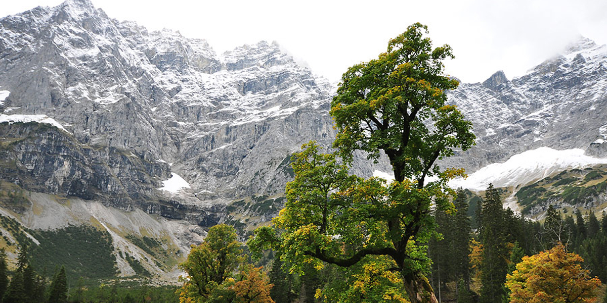 Karwendel