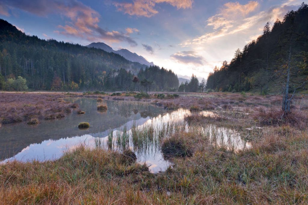 Riedener See mit Themenweg