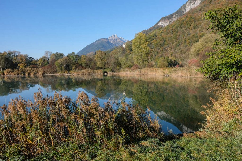 Teich östlich des Schutzgebietes