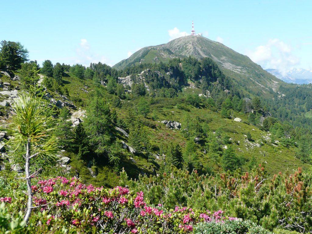 Patscherkofel-Gipfel